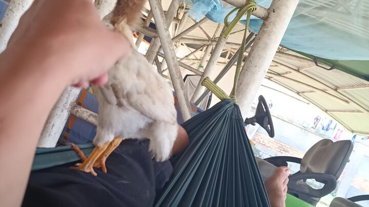 cuộc sống bình yên