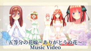 「五等分の花嫁～ありがとうの花～」Μusic Video（歌:中野家の五つ子）