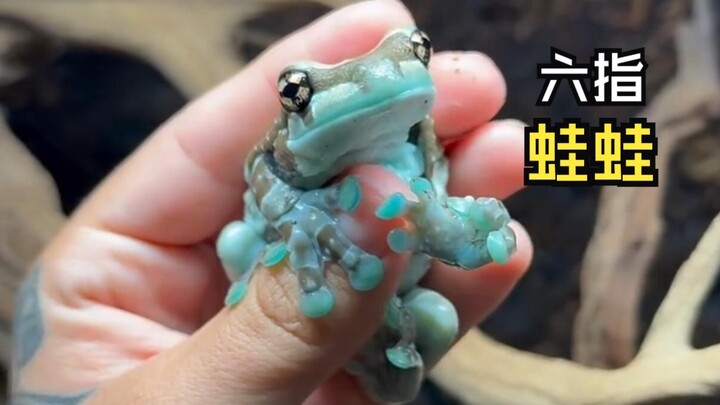 Animal videos that instantly lift your spirits!