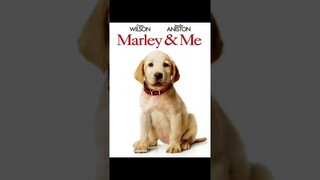 REKOMENDASI FILM ANABUL YANG BIKIN MEWEK‼️🥺 #shorts #anjinglucu