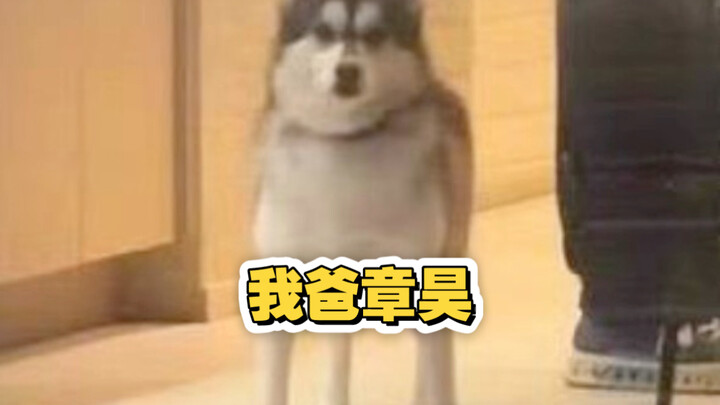 หานเจิ้นเปิดเผยสุนัขที่ปรากฏตัวอยู่ในอาคาร Yuehua ของเกาหลีใต้นั้นเป็นของจางฮ่าว