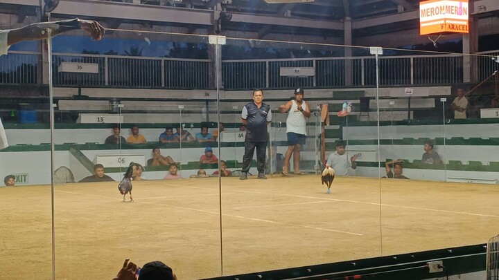 Dec. 5, 2025, Digmaan National Band 3stag Elimination @San Carlos Cockpit Arena, WIN