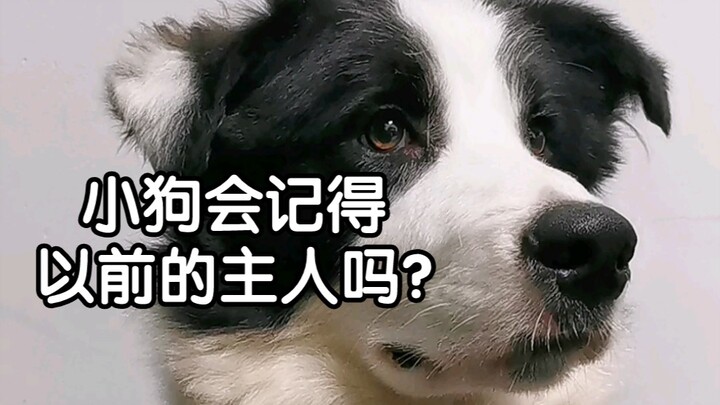 Maybe this is how it remembers you...