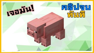 เมื่อผมหา หมู เจอเมื่อไหร่ คลิปจบทันที | Minecraft