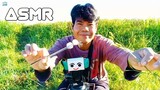 ASMR Thai | Ear Cleaning ดอกหญ้าแคะหู พัคจีซัง (No Talking)