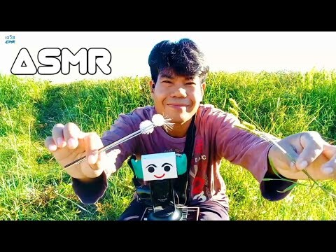 ASMR Thai | Ear Cleaning ดอกหญ้าแคะหู พัคจีซัง (No Talking)