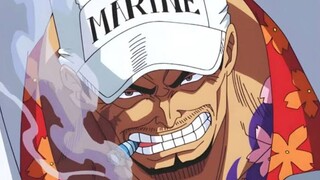 Kuzan Meninggalkan Tato Permanen Ditubuh Akainu - ONE PIECE