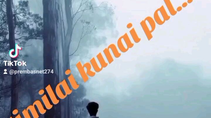 timilai kunai pal...