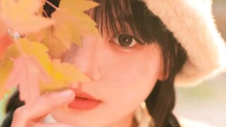 Teknik foto daun maple, pose foto daun maple, sudut foto daun maple, ayo segera belajar!