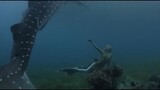 Scales: Mermaids Are Real movie link in introduction