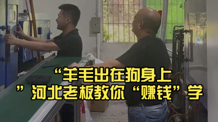 “The wool comes from the dog”—Hebei boss teaches you how to “make money”