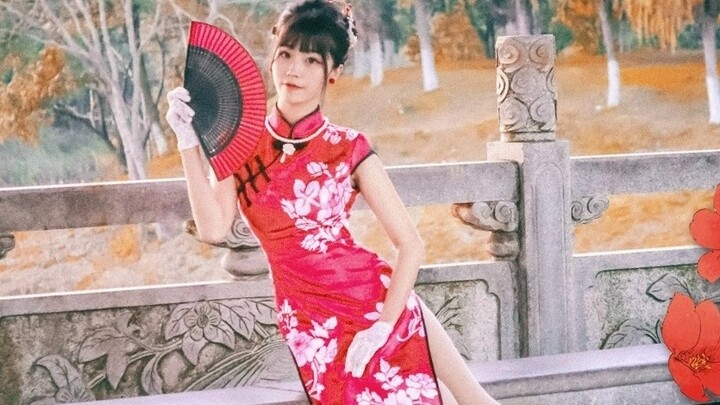 【Meow】Ronin Biwa✿ Sir, can you come in and sit down✿【Fourth Anniversary Work】【Stars】