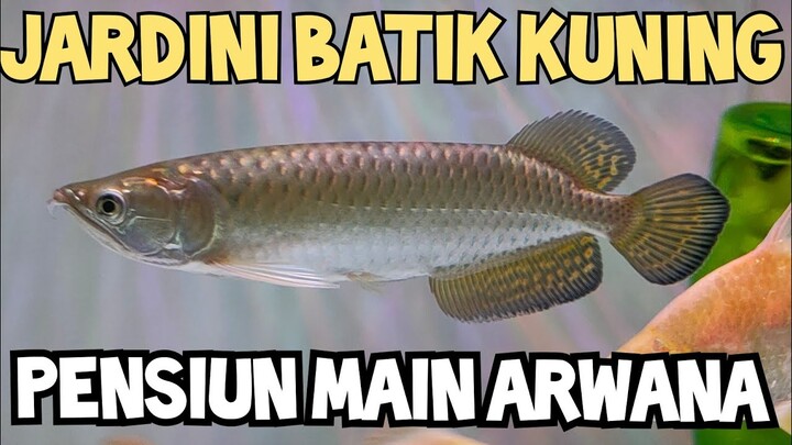 LEPAS IKAN KESAYANGAN..PENSIUN