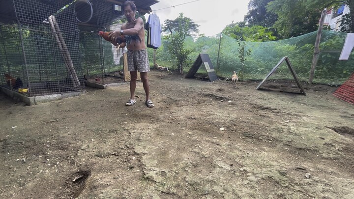 Full brothers lemon sweater