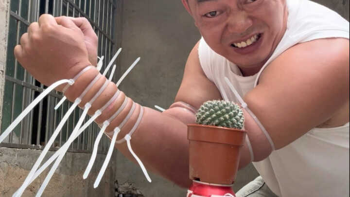 Pria baja perkasa, kung fu asli—seorang pemuda desa dari Shankaqiqi, Guizhou. Asli atau tidak, terse