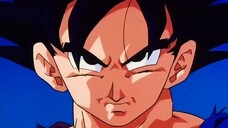 Episode  239-Find the Dragon Balls