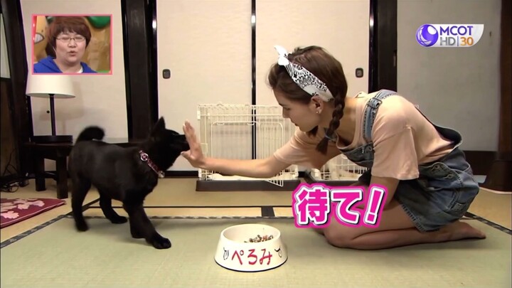 Shimura Zoo สวนสัตว์มหาสนุก #10