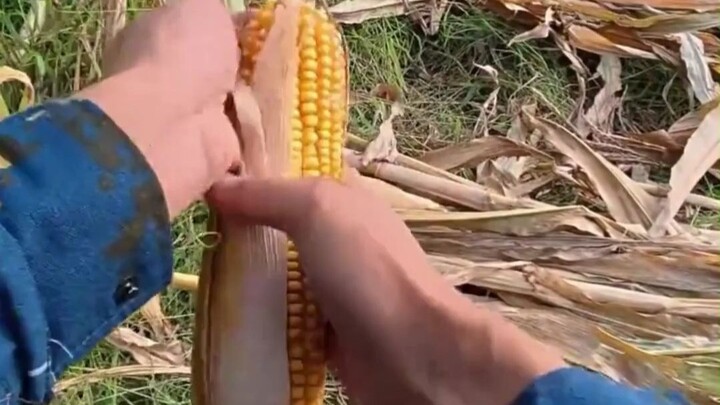 Now this is a mess—who’s gonna make it better?