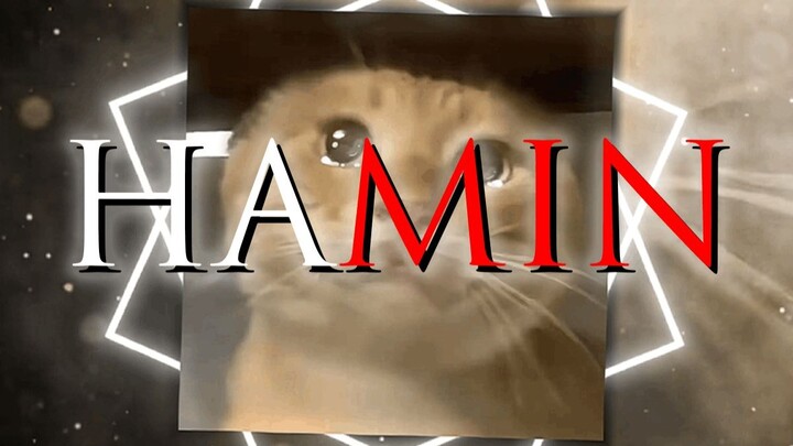 🐱[Hakimi FM]: A Melody of Fate 🐱