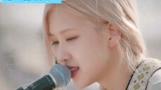 Official ROSÉ Performance Collection
