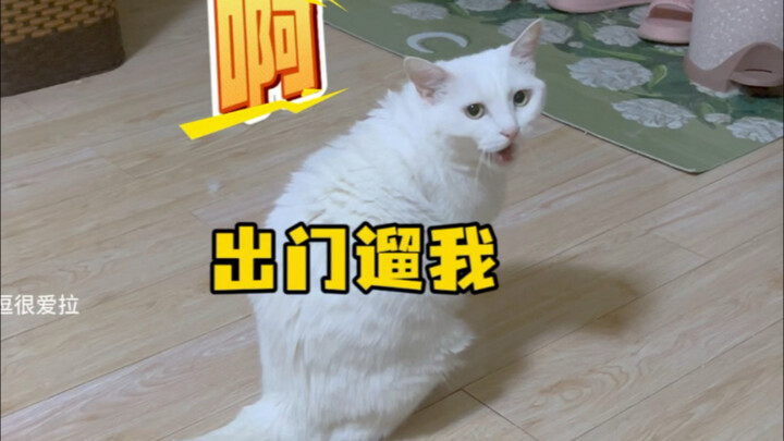 Hurry up and take me out for a walk!