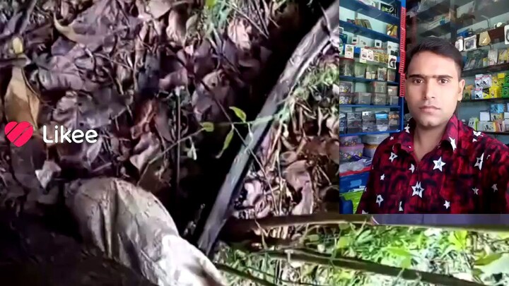 বেডের ভিতর একটি শিশু বাচ্চা