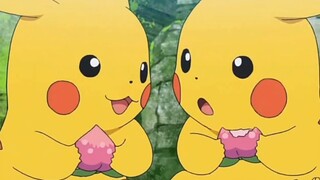 [Elf Pokémon] Berapa banyak Pokémon yang Anda tahu memiliki perbedaan gender?