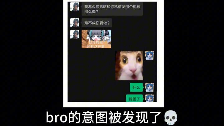 bro在试图玩耍自己的老弟の