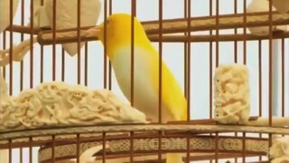 sultan punya brng