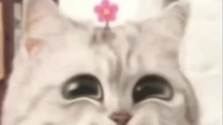 ซันบิน: รายละเอียดเล็กๆ น้อยๆ ในแต่ละวัน 1 นาทีในการคว้าไลน์และเลเวลอัพ 2 ฉันสอนแค่ครั้งเดียว