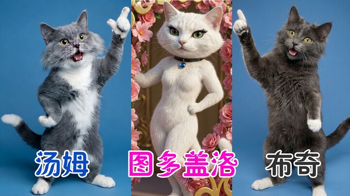 Tom and Jerry | Real-Cat Version, Original Soundtrack, Recreates the Iconic “I’m Heartbroken” Scene