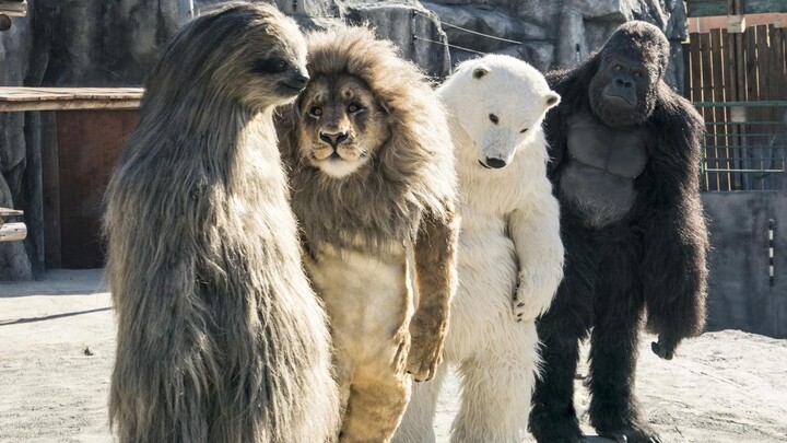 Zoo on the Brink of Collapse: Staff Pretend to Be Animals—and Not a Single Visitor Recognizes Them! 