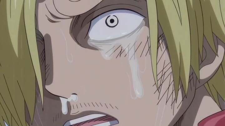 Luffy: Do what you want to do, and I’ll brave it with you!