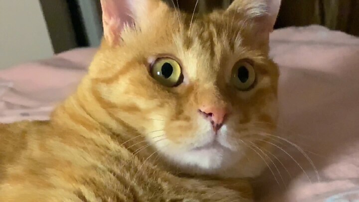 Aku akan selalu siap sepenuhnya demi kebahagiaanmu