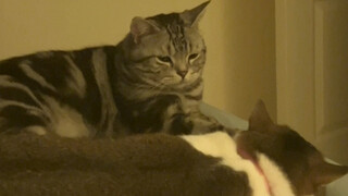 When your boyfriend looks at you while you are sleeping (You...what are you doing!!!