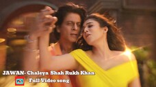JAWAN: Chaleya Shah Rukh Khan movie Song hd video-series #ibrahimkhanzerotokhan