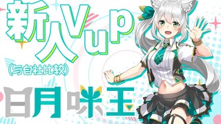 【b站限定自我介绍】(社内比较)新人Vup日月咪玉【竟也成为了bilibili的签约Vupper】