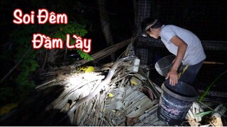 Soi Đêm Đầm Lầy