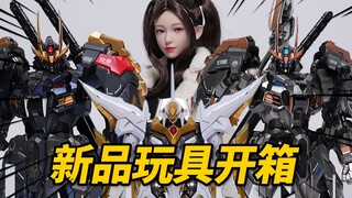 甲斐小虎异色款亮相！6月新品玩具开箱分享【神田玩具组】