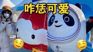 Tôi không nhịn được nữa, cứ nhìn thấy Băng Dwen Dwen và Tiết Dung Dung là tôi lại thủ dâm.