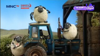 MNCTV HD • SHAUN THE SHEEP • ROBOT DOG VS ROBOT SHEEP • PART 01 • MINGGU 20 JANUARI 2025