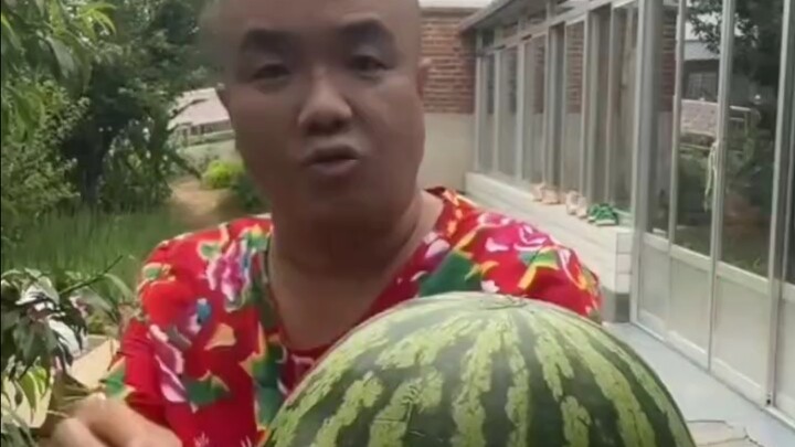 Potato Tortures Watermelon