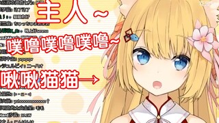 【啾啾猫猫】被自己鬼畜洗脑的猫猫