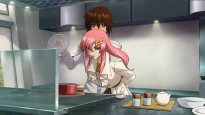 Mobile Suit Gundam SEED new sequel ~ FREEDOM ZERO! Will there be new models?