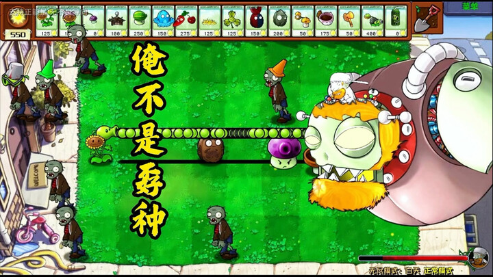 Đưa em gái lên rank: Nói với Tiểu Quỳ, anh không phải kẻ hèn nhát!