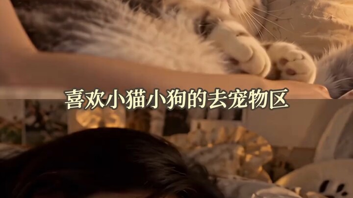 TV Shenren: 100.000 perempuan berbagi satu asrama