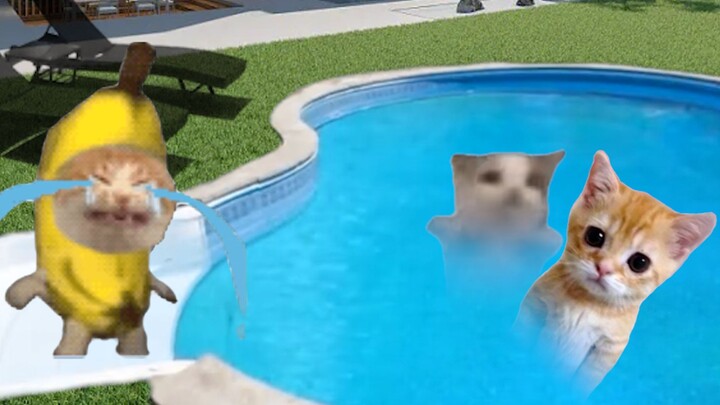 Stupid Banana Cat can't swim, that's so lame!