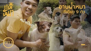 อาบน้ำหมา 9 ตัว ! เละแค่ไหน... - มหึหมา EP13