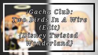 Two Birds In A Wire Edit - Gacha Club (Disney Twisted Wonderland) {Read the pinned comment}