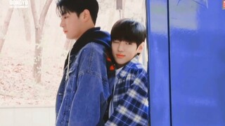 “Tôi cũng đâu muốn ship, nhưng anh trai 193 chiều chuộng quá mức rồi!”